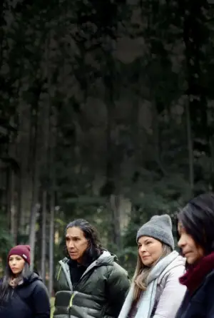 Poster to the movie "Meadowlarks" #623425