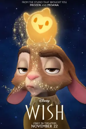 Poster to the movie "Wish" #336