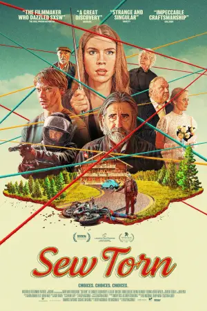 Poster to the movie "Sew Torn" #778743