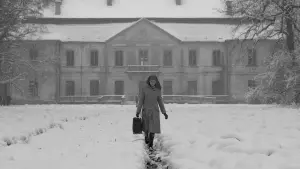 Backdrop to the movie "Ida" #230233