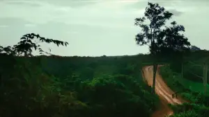 Backdrop to the movie "Homo Sive Natura" #927821