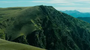 Backdrop to the movie "Sempre, sempre" #775604