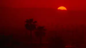 Backdrop to the movie "To Live and Die in L.A." #674926