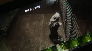 Backdrop to the movie "Smothered" #799245