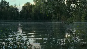 Backdrop to the movie "Call Me by Your Name" #595932