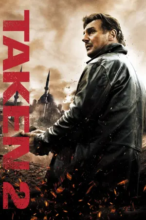 Poster to the movie "Taken 2" #43265