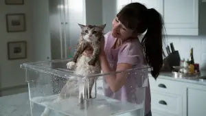 Backdrop to the movie "Nine Lives" #481409