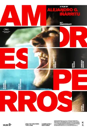 Poster to the movie "Amores Perros" #827788