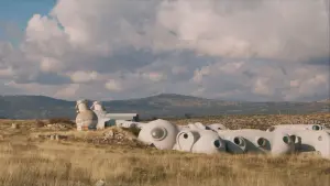 Backdrop to the movie "IO" #386554