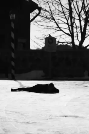 Poster to the movie "Iš Lietuviško Miestelio 1926 Kovo 11" #781165