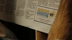 Backdrop to the movie "Sunshine Cleaning" #610158