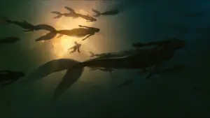 Backdrop to the movie "Pirates of the Caribbean: On Stranger Tides" #558407