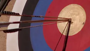 Backdrop to the movie "The Adventures of Robin Hood" #215376