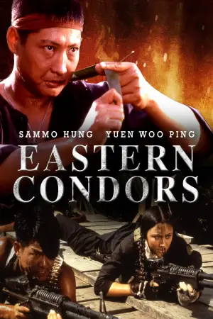 Poster to the movie "Eastern Condors" #935423