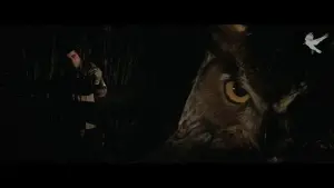 Backdrop to the movie "Blow Out" #505025