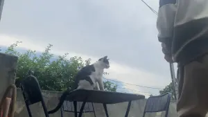 Backdrop to the movie "Cartas" #200746