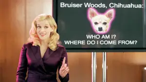 Backdrop to the movie "Legally Blonde 2: Red, White & Blonde" #673083