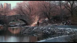 Backdrop to the movie "Home Alone 2: Lost in New York" #567012