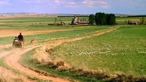 Backdrop to the movie "Doctor Zhivago" #209162