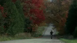 Backdrop to the movie "A History of Violence" #767665