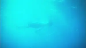 Backdrop to the movie "All About Lily Chou-Chou" #788209