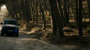 Backdrop to the movie "Secret of the Forest" #798271