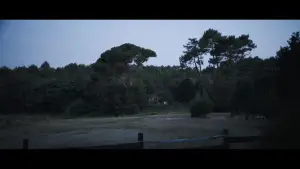 Backdrop to the movie "Latche, l