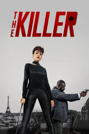 Poster to the movie "The Killer" #608281