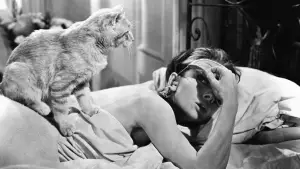 Backdrop to the movie "Breakfast at Tiffany