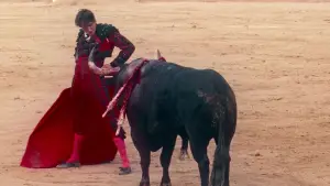 Backdrop to the movie "Afternoons of Solitude" #675280