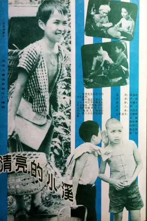 Poster to the movie "清亮的小溪" #930619