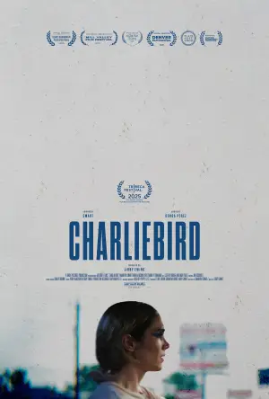 Poster to the movie "Charliebird" #773422