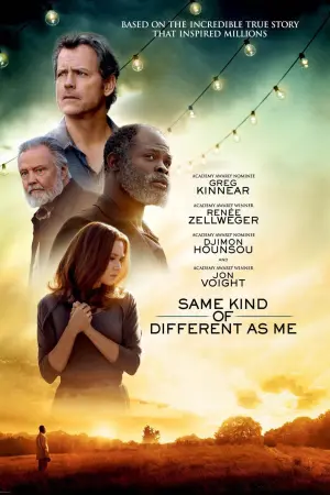 Poster to the movie "Same Kind of Different as Me" #119731