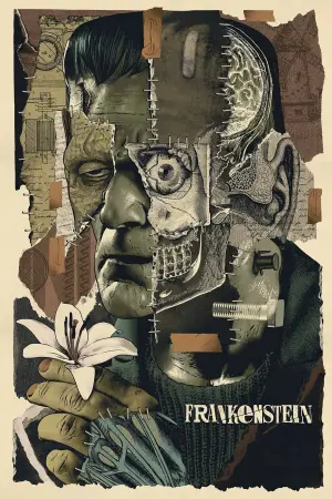 Poster to the movie "Frankenstein" #854542