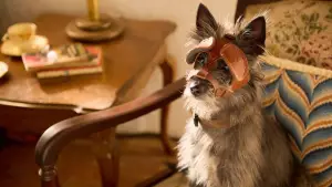 Backdrop to the movie "Runt" #683134