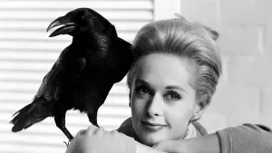 Backdrop to the movie "The Birds" #209980