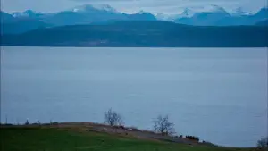 Backdrop to the movie "Autumn Sonata" #645066