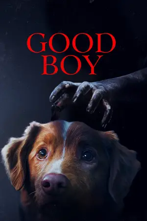 Poster to the movie "Good Boy" #517307