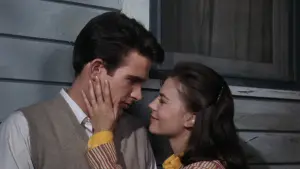 Backdrop to the movie "Splendor in the Grass" #365050