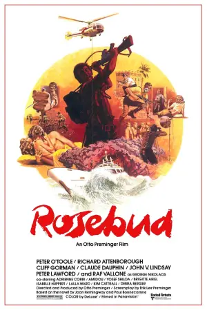 Poster to the movie "Rosebud" #635403