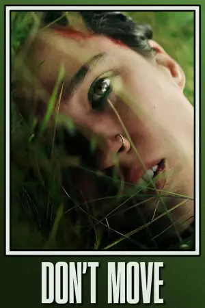 Poster to the movie "Don