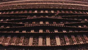 Backdrop to the movie "Ritual" #950025