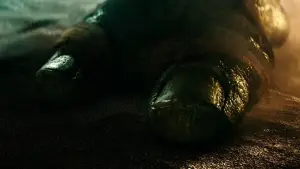 Backdrop to the movie "Teenage Mutant Ninja Turtles" #801229