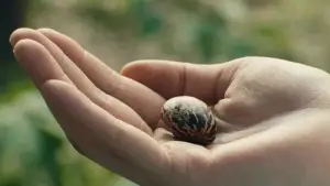 Backdrop to the movie "Shanghai Daughter" #539050