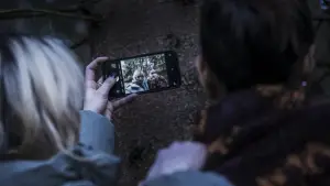 Backdrop to the movie "True Fear" #773548