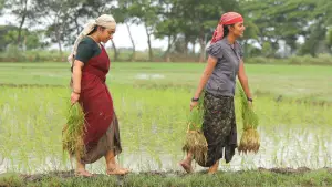 Backdrop to the movie "Bison Kaalamaadan" #786327