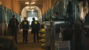 Backdrop to the movie "The Hutong Cowboy" #740987