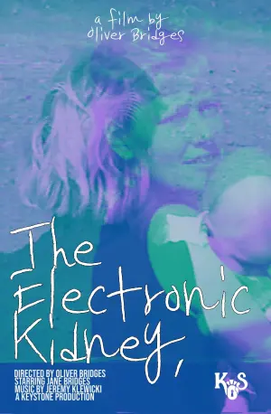 The Electronic Kidney