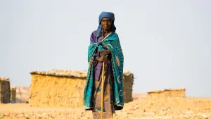 Backdrop to the movie "African Territory 2" #420649