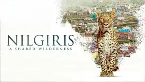 Backdrop to the movie "Nilgiris - A Shared Wilderness" #919877